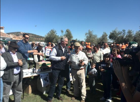 3 LOTE 15.- Francisco Javier Redondo Rodrguez (Mora)