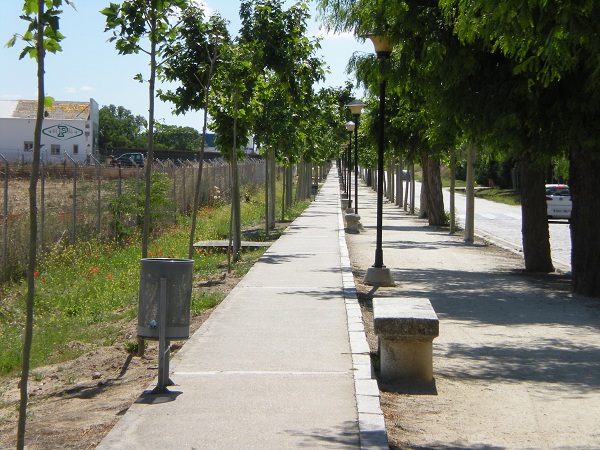 Mantenimiento y Conservacin - Paseo de las Delicias, colocacin de papeleras.