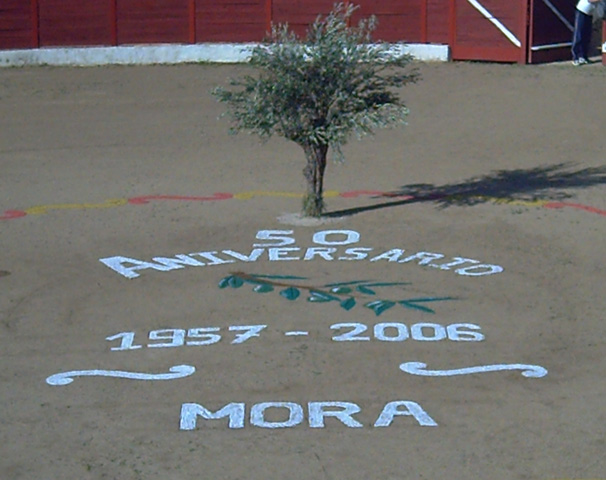 Fiesta del Olivo 2006