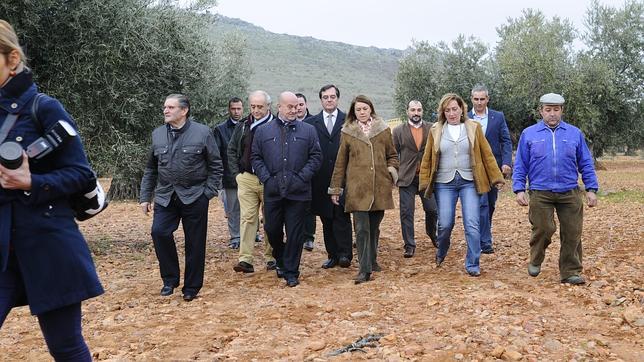 Ayer durante la visita de la Presidenta a uno de nuestros olivares en Mora.